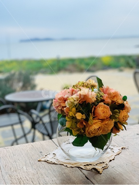 화분,꽃,부케,까페,flower,식물