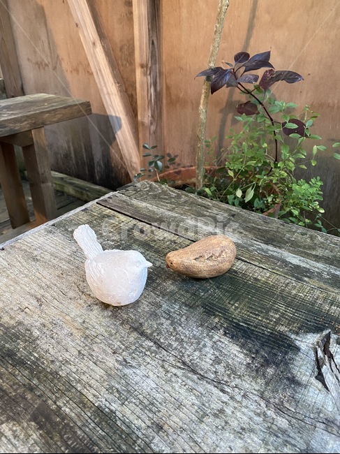 도자기,나무조각,조각,장식,장식품,새,새조각,디자인,인테리어,wood,cafe,plant,나무,relax,bird