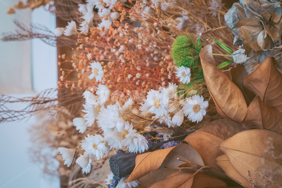 감성,꽃,드라이플라워,전등,카페,커피,나무,꽃,flower
