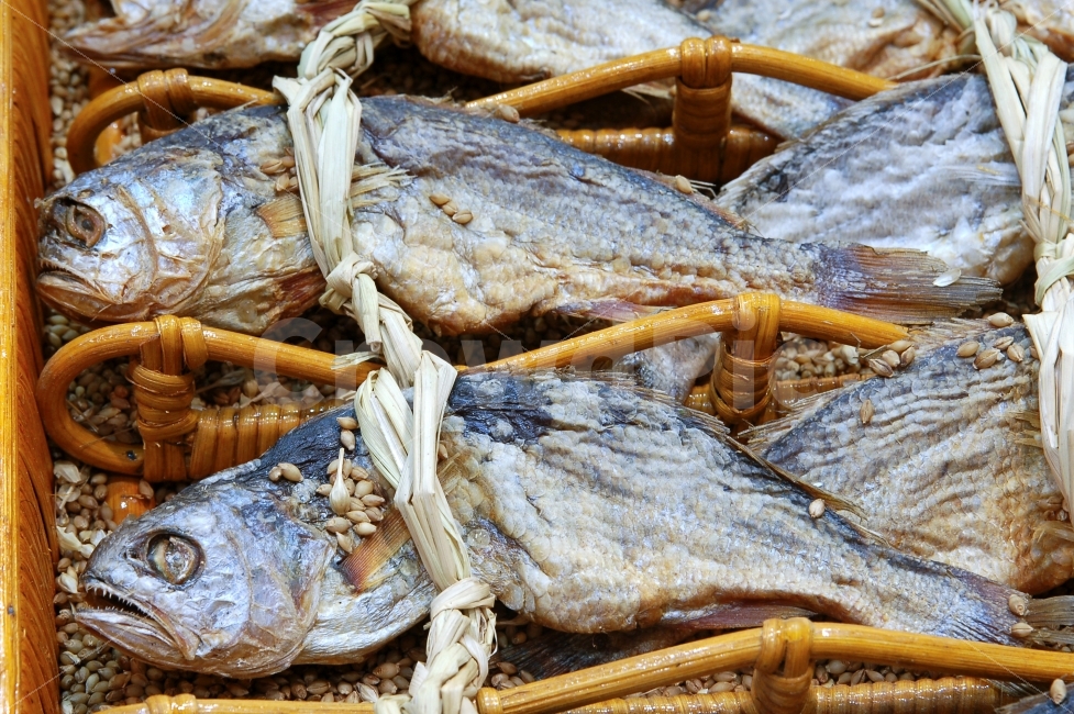 굴비,생선,영광굴비,음식,식재료,음식재료,해산물,수산물,어류,한국전통,한국문화,korean traditional,korean culture,음식,식재료,요리,food,cook,meal,dishes,food reserves,수산물,해산물,fishery products,seafood