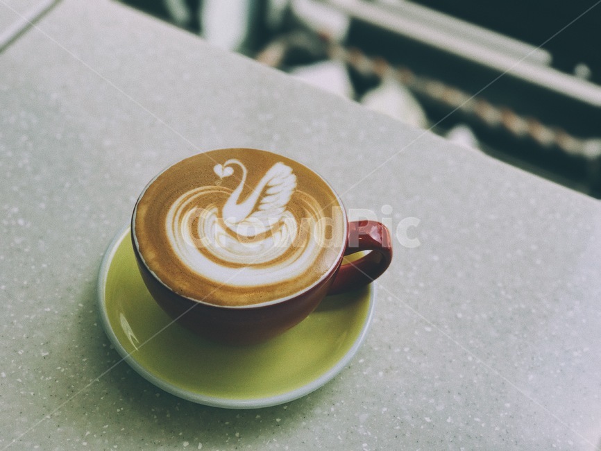 커피,라떼아트,아트,카페라떼,coffee,latteart,커피,카페,coffee,cafe,감성,sensible,feeling