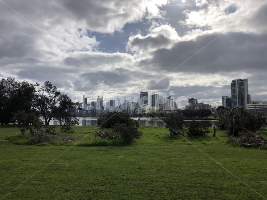 grass,plant,식물,lawn,잔디,도시,하늘,구름,도시,풍경,city,landscape