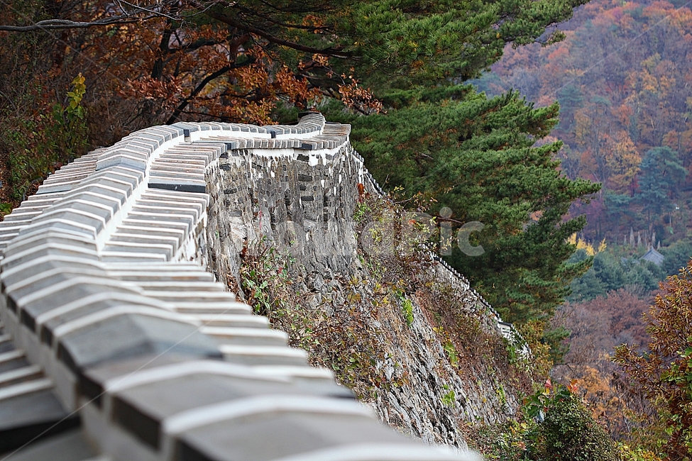 남한산성,성,성곽,단풍,낙엽,길,둘레길,숲,숲길,담,돌담,가을,자연,풍경,벽,울긋불긋,산성,식물,가을,계절,fall,autumn,season