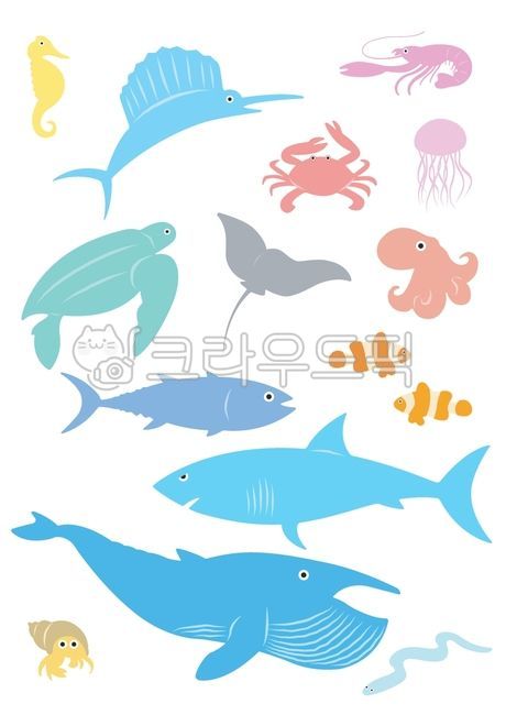 고래,바다일러스트,바다그림,상어,물고기,문어,흰동가리,가재,꽃게,가오리,거북,돛새치,해파히,소라게,수족관,아기자기,파스텔톤