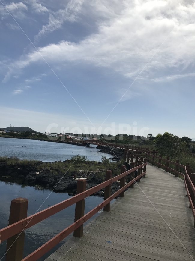 자연,감성,제주,풍경,원본,무보정,제주도,jeju,jeju island,시골,마을,풍경,landscape,country,rural,town,railing,난간,water,물,building,건물,bridge,다리,boardwalk,산책로