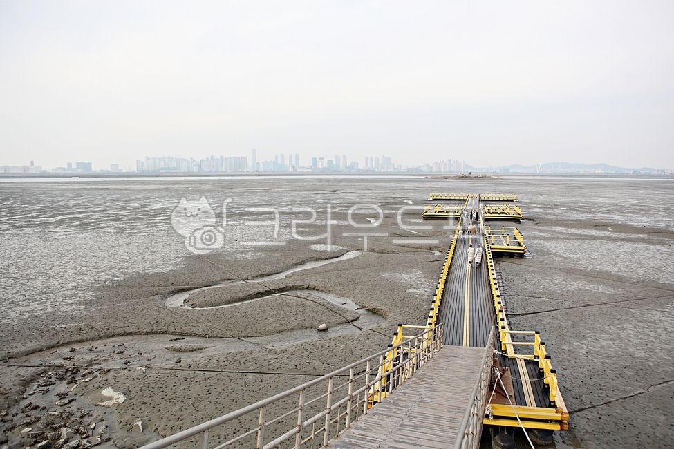 ecological park,outdoor,tidal valley,ocean,nature,sight,foreshore,mud,building,park