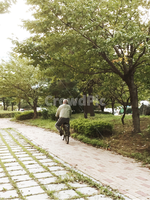 할아버지,자전거,뒷모습,산책길,나무,시간,세월,빛,노인,bicycle,bike,human,person,seniorcitizen,oldman,남자,따르릉,따릉이,할아버지자전거