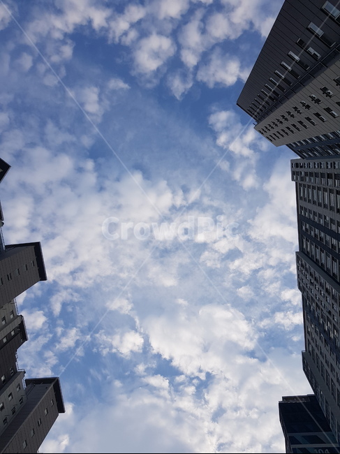 구름,하늘,파란하늘,뭉게구름,하얀구름,건물,cloud,sky,bluesky,파란색,하얀색,창문,고층빌딩