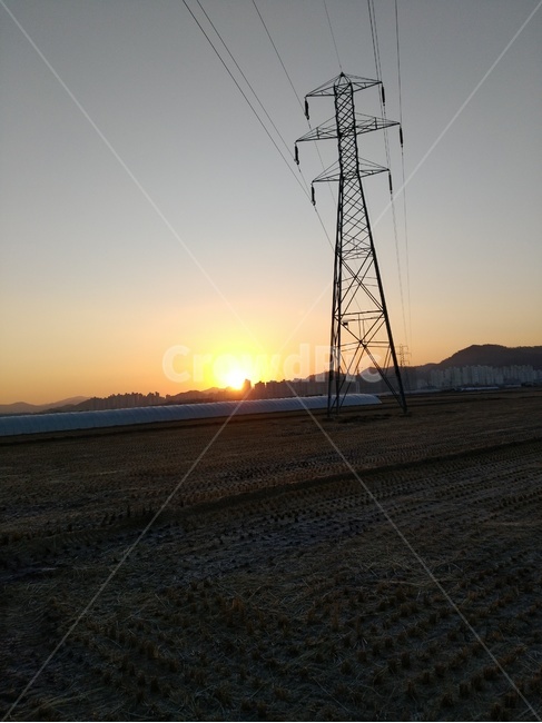 해,농사,풍경,자연,동네,농업,농사,agriculture,farming,farming industry