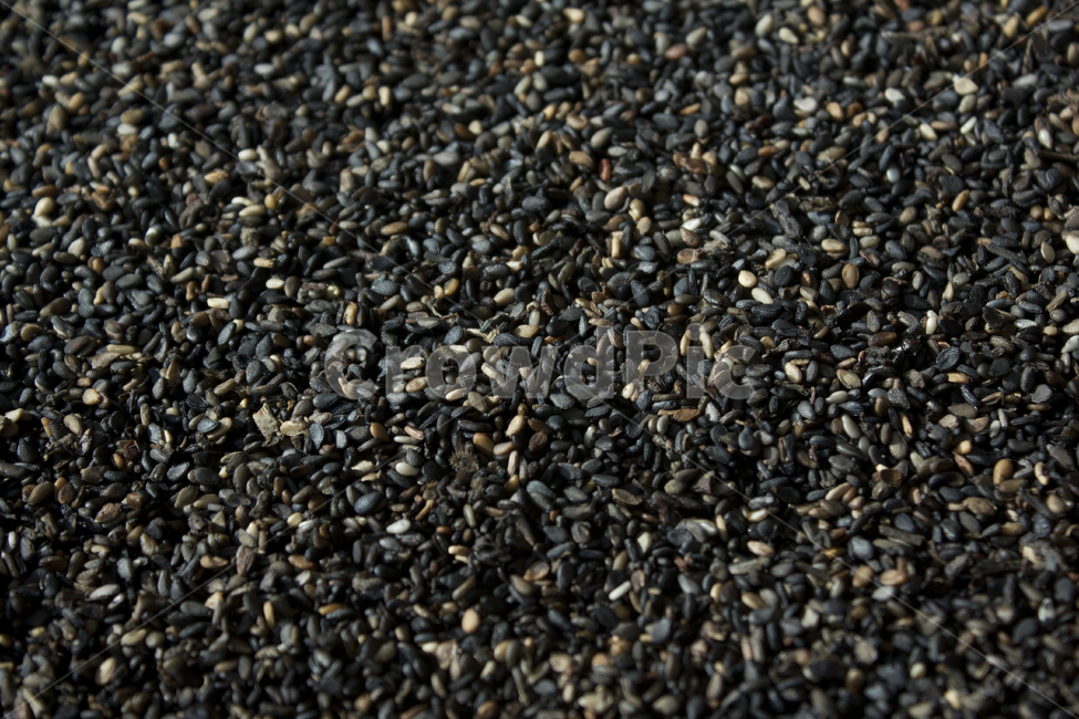 brown,closeup,dry,dummy,food,gold,grain,macro,meal,natural,nature,organic,plant,seed,seeds,sesame,sesameseed,sesameseeds,top,topangle,topview,yellow,깨,참깨,곡식,곡류,음식,음식재료,식재료,식물,씨앗,씨,갈색,브라운,말린,말리는,건조,자연,클로즈업,탑앵글,탑뷰,깨소금,농작물,농촌,농사,음식,식재료,요리,food,cook,meal,dishes,food reserves,곡류,곡식,cereals