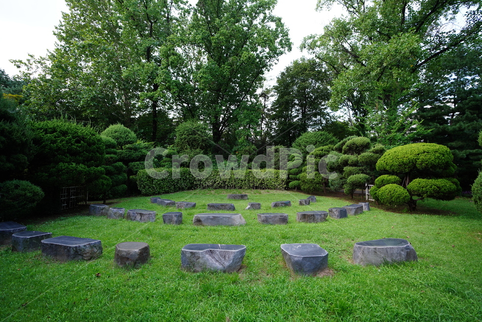 plant,식물,grass,잔디,경치,풍경,돌,공원,풀,나무,녹색,자연,풍경,nature,landscape