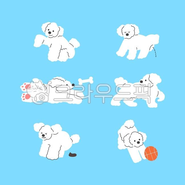 play,poodle,cute,ball,Pets,puppy,illustration,basketball ball,dog,pet dog,pet,sitting,hand