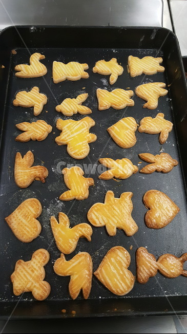 요리,제과제빵,쿠키,동물모양,실습