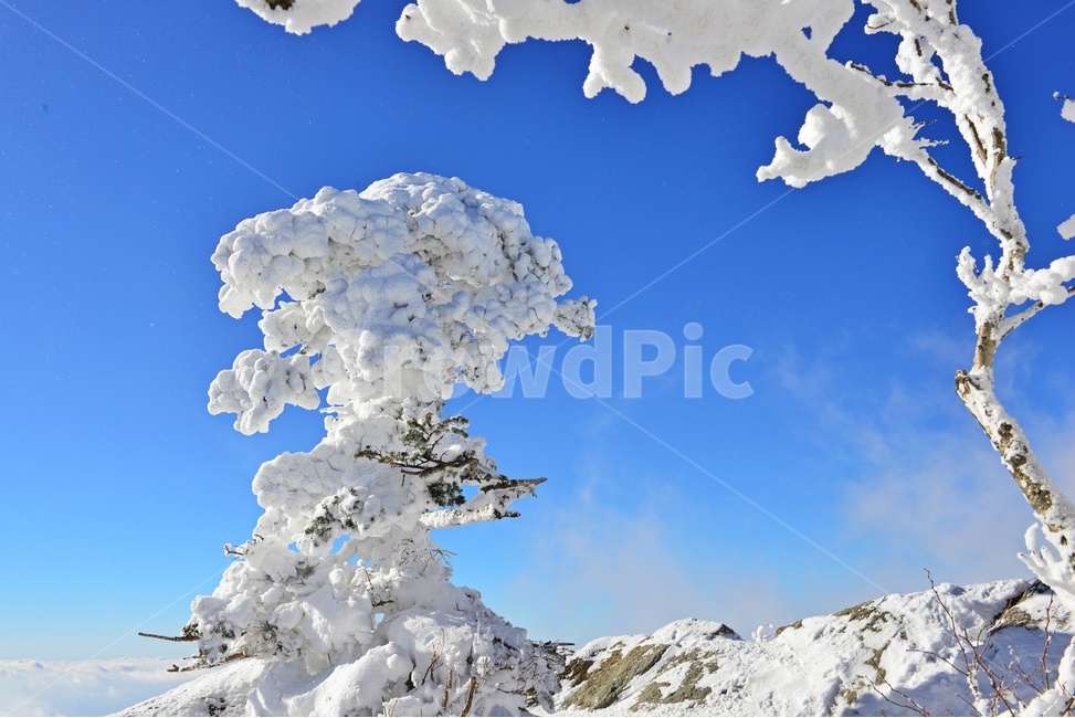 무주,덕유산,덕유산설경,겨울,계절,상고대,향적봉,중봉,nature,자연,mountain,산,outdoors,옥외,ice,빙,mountainrange,산맥,snow,눈,운해,설경,폭설