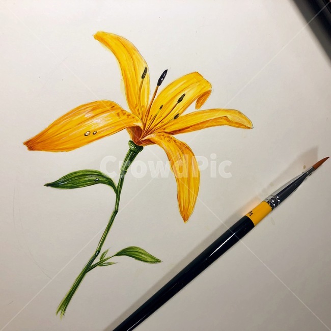 꽃,개나리,그림,물감,일러스트,기초디자인