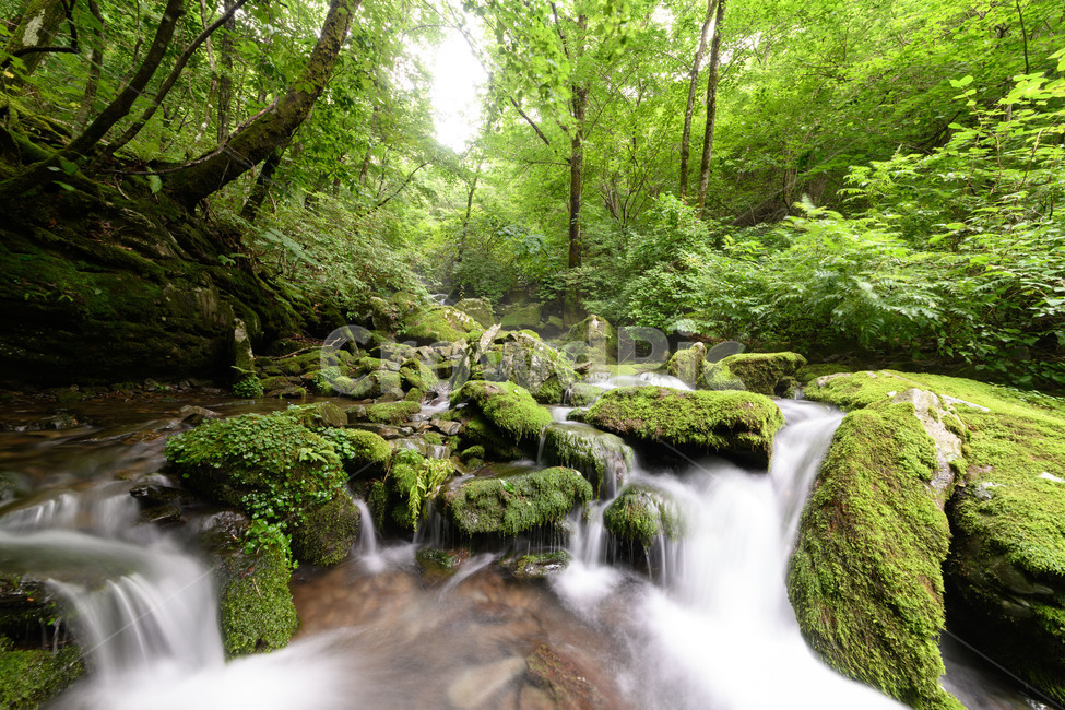 한국,자연,풍경,이끼,계곡,여름,계절,summer,season,자연,풍경,nature,landscape,water,물,outdoors,옥외,river,강,waterfall,폭포