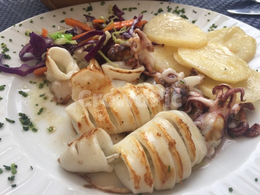 오징어,음식,스페인,그릴,남부유럽,squid,spain,food,europe,grill