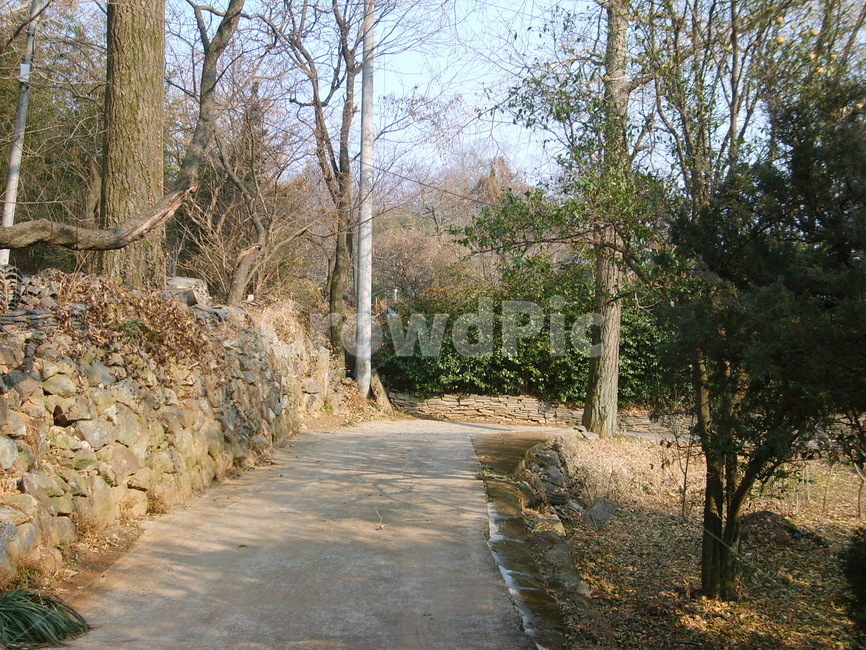 길,전원,햇살,시골,돌담길,돌담,조용,돌길