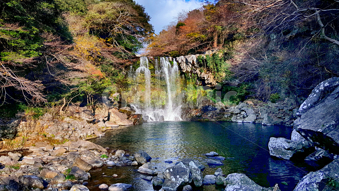 천제연,자연,nature,water,물,자연,풍경,nature,landscape