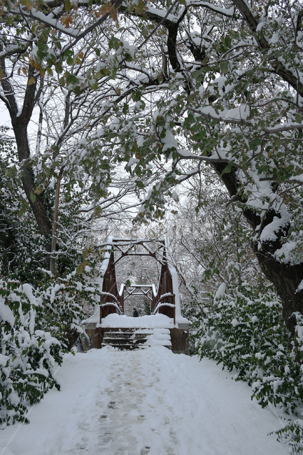 눈길,다리,눈내리는날,눈쌓인길,눈,겨울,발자국,bridge,park,forest,footprint,path,snow,숲
