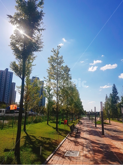 하늘,여름,풍경,화창한날씨,맑음
