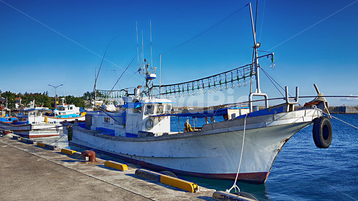 어선,항구,위미항,선박,교통,port,포트,바다,배,보트,boat,어업,fishery,fishing industry
