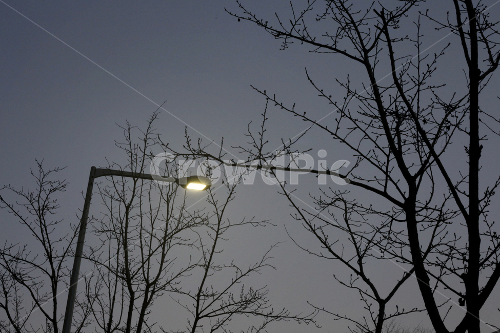 lamppost,램프포스트,가로등,겨울,winter,겨울밤,night,저녁,빛,light