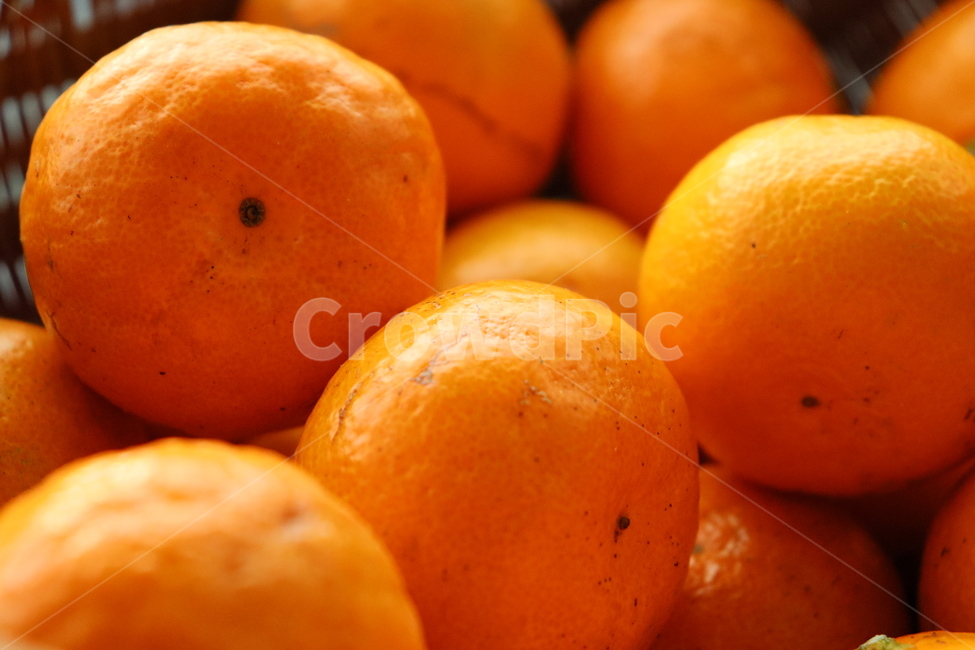 귤,fruit,과일,식물,food,감귤류과일,과일,열매,fruit