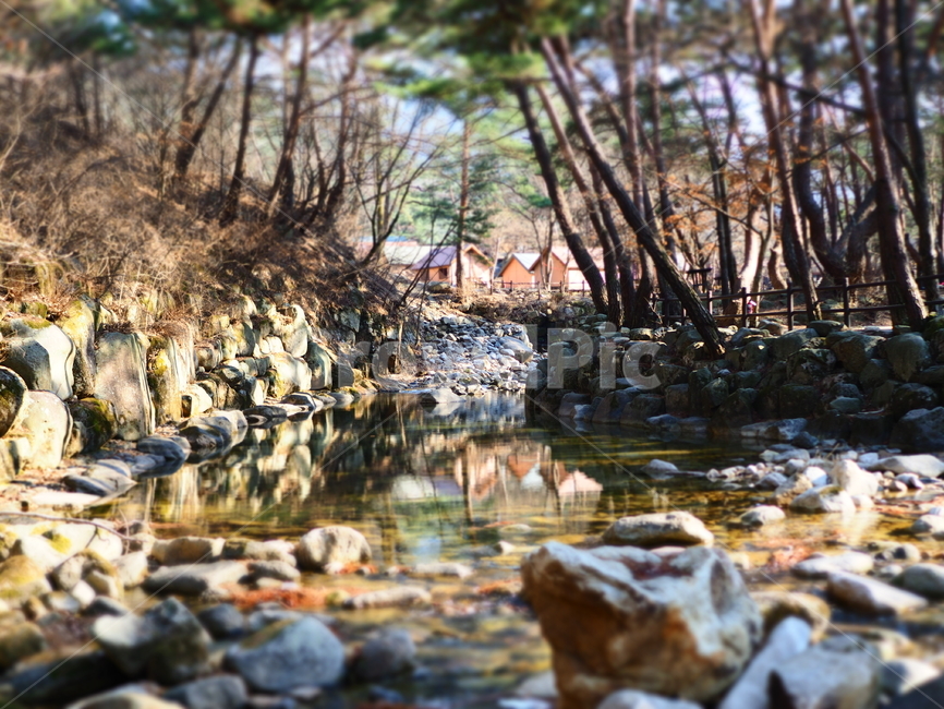 숲,집,텐트,cabin,woods,forest,stream,휴양림