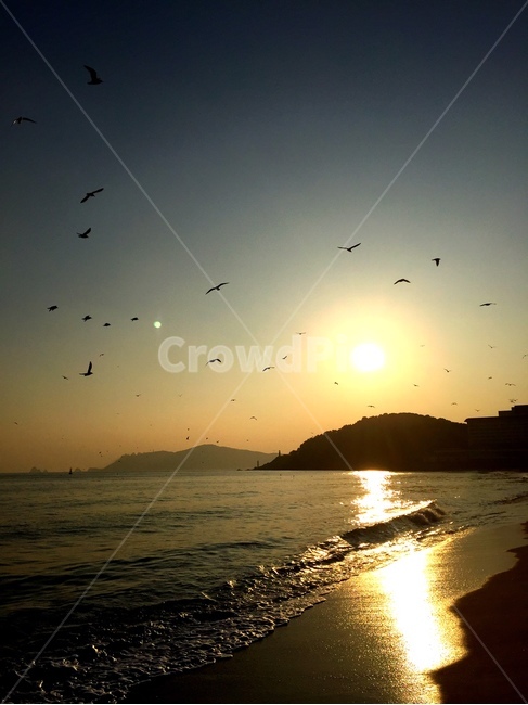 해변,여수,노을,밤바다,풍경