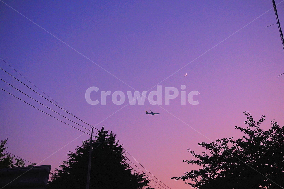 초승달,비행기,나무,하늘,crescent,sky,airplane,tree,감성,풍경,야경,밤,풍경,nightscape,night,landscape,교통,교통수단,traffic,transportation,nature,자연