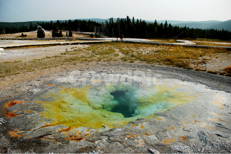 yellowstonenationalpark,옐로스톤국립공원,옐로스톤,geyser,간헐천,미국국립공원,풍경,자연,풍경,nature,landscape,해외,외국,세계,foreign,oversea,world,세계자연풍경,해외자연풍경,외국자연풍경,world nature landscape