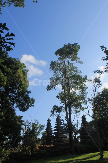 인도네시아,발리,힌두교,힌두,힌두사원,자연,녹색,indonesia,bali,temple,사원,hindu,hinduism,hindutemple,green,sky,blue,bluesky,하늘,파란하늘,푸른하늘,나무,tree,plant,식물,전나무