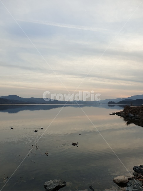 promontory,곶,land,나라,옥외,outdoors,자연,강,하늘,sky,석양,오리,duck,nature