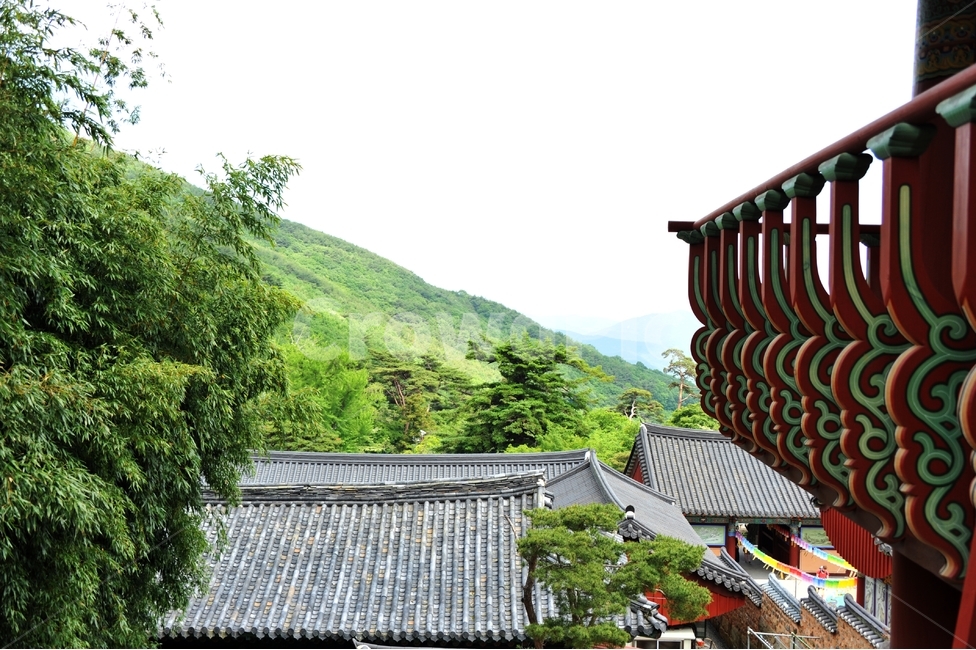 절,사찰,한옥,불교,부처님오신날,신앙,믿음,기도,한국사찰,부산사찰,건축,기와,종교,붓다,한국전통,범어사,자연,풍경,nature,landscape,한국자연풍경,한국자연경관,korea nature landscape,한국전통,한국문화,korean traditional,korean culture
