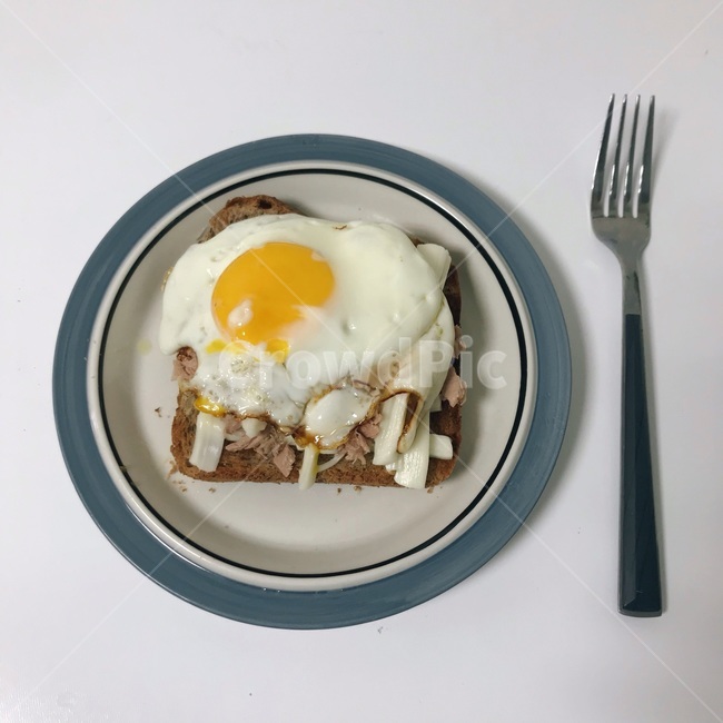 fork,포크,food,음식,egg,계란,토스트,집밥,접시,dish,참치계란토스트