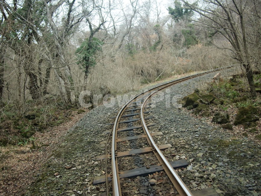 철길,철로,track,railroad,기차길,숲길,나무,숲속철길