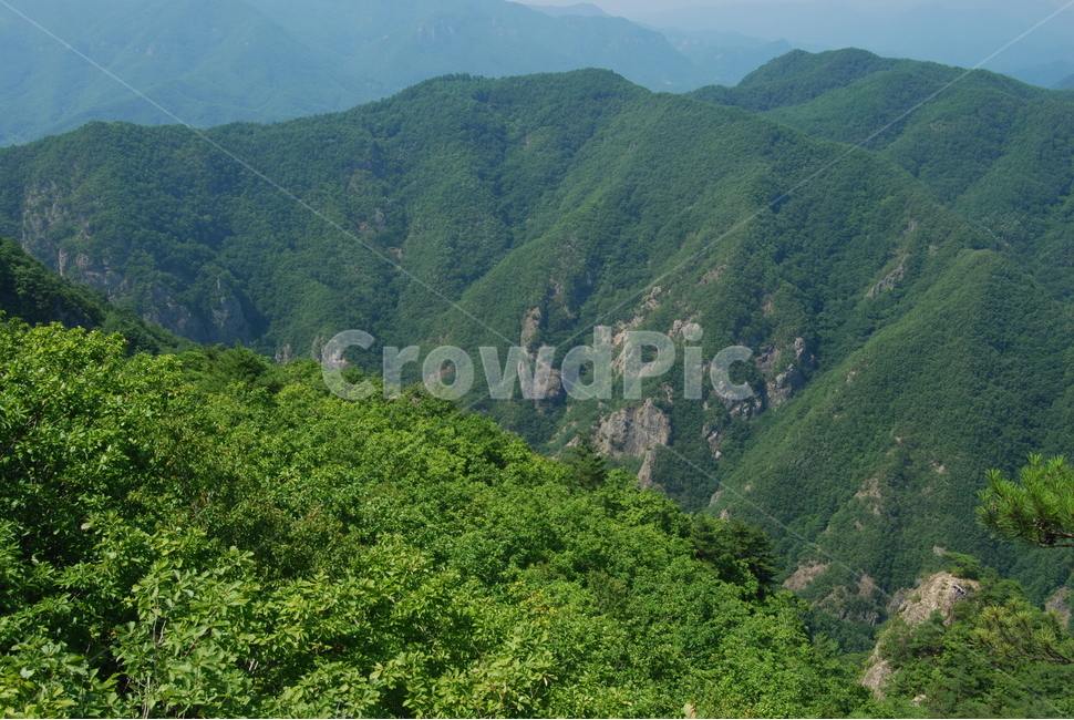 팔각산,자연휴양림,봄,탐방로,한국,자연,풍경,nature,landscape,한국자연풍경,한국자연경관,korea nature landscape,outdoors,옥외,hill,언덕,mountain range,산맥,mountain,산