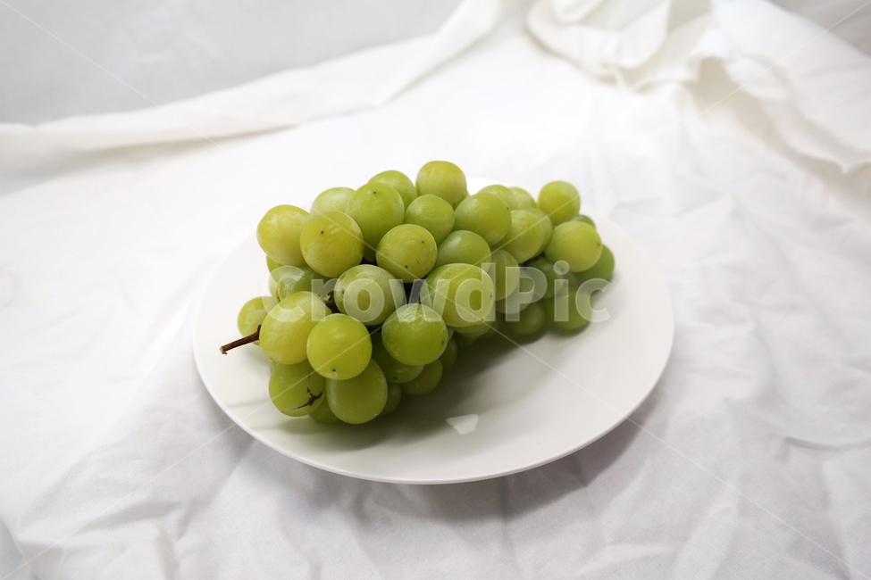포도,grape,fruit,과일,머스켓,청포토,muscat,접시,과일,열매,fruit