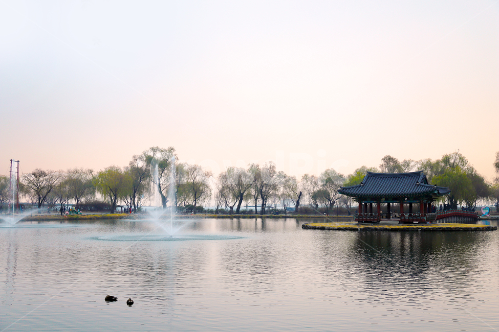 water,물,궁남지,충남,충청남도,백제,백제유적,유적,사적지,사적,호수,연못,정원,버드나무,조경,부여군