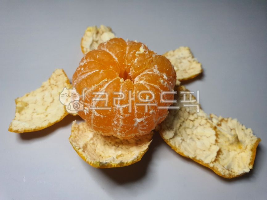 감귤류과일, 음식, 과일, food, fruit, 사진,이미지,일러스트,캘리그라피 - 금소니작가