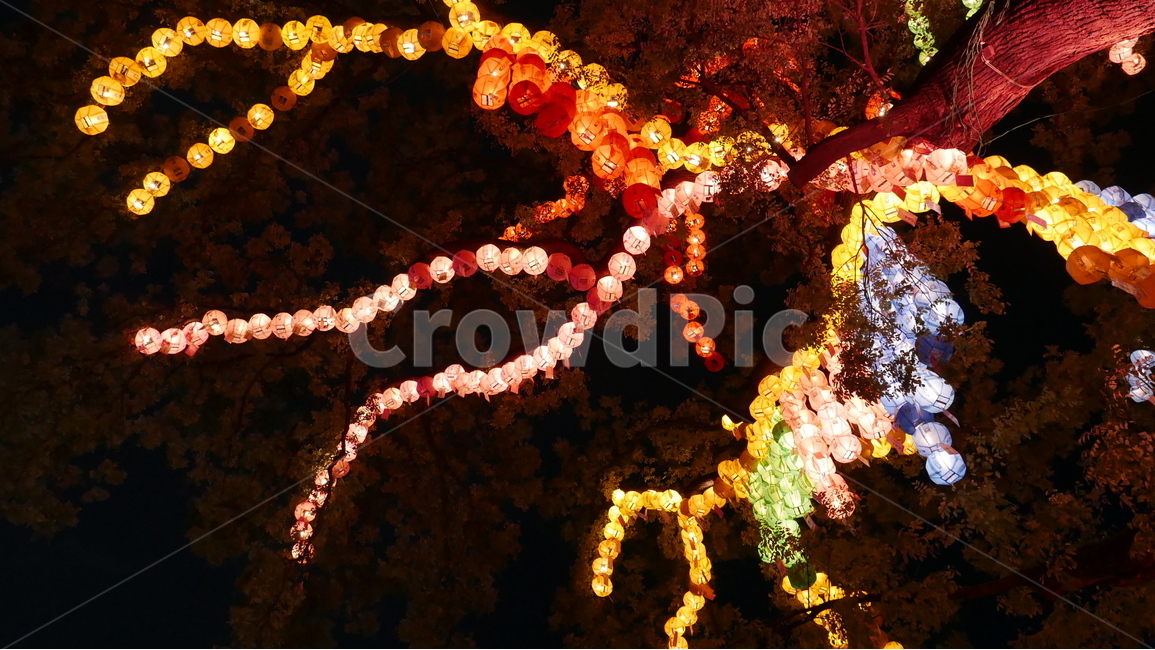 절,등,조계사,등불,오색등,야경,밤,풍경,nightscape,night,landscape,종교,신앙,religion,belief,faith,festival,제전,crowd,군중