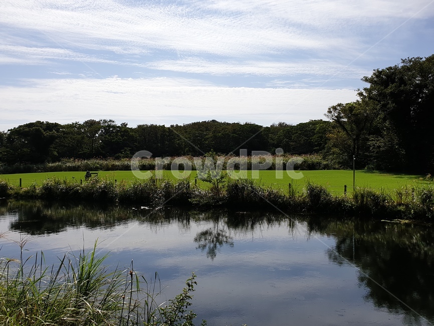 제주,자연,풍경,호수,에코랜드,자연,풍경,nature,landscape,land,땅,outdoors,옥외,water,물