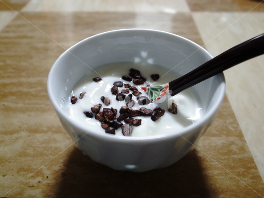 요거트,카카오닙스,음식,yogurt,cacaonips,food,dessert,음식,식재료,요리,food,cook,meal,dishes,food reserves,디저트,간식,후식,dessert,snack