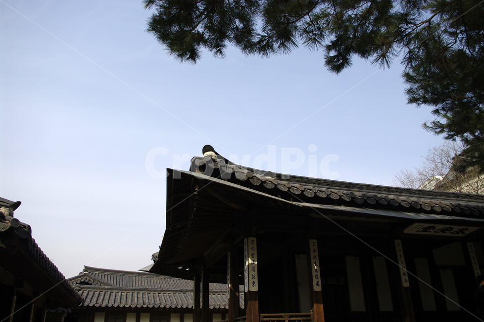 한옥,전통가옥,건축,기와지붕,tradition,한국전통,한국문화,korean traditional,korean culture