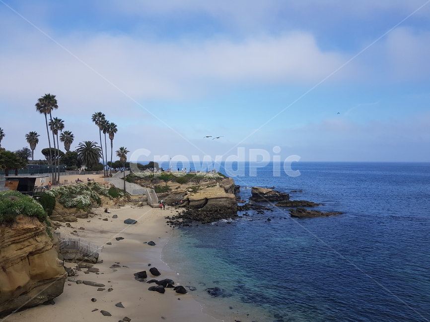 해안선,물,바다,자연,샌디에고,라호야코브,해변,비치,shoreline,nature,water,sea,sandiego