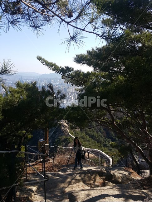 산,등산,자연,풍경,인물