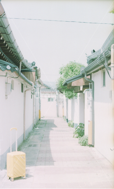 경주,황리단길,골목길,캐리어,노랑가방,골목,황리단,필름,감성,조용한,옛모습,골목길,alley,street,거리,building,건물,town,도시,road,도로,city,시티,urban,어반
