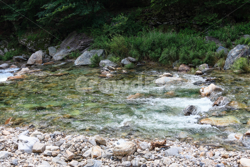 시냇물,강원도,여름,돌,환경,숲,물줄기,풍경,물,여름,계절,summer,season,자연,풍경,nature,landscape,water,outdoors,옥외,creek,작은 만,stream,흐름,rubble,파편
