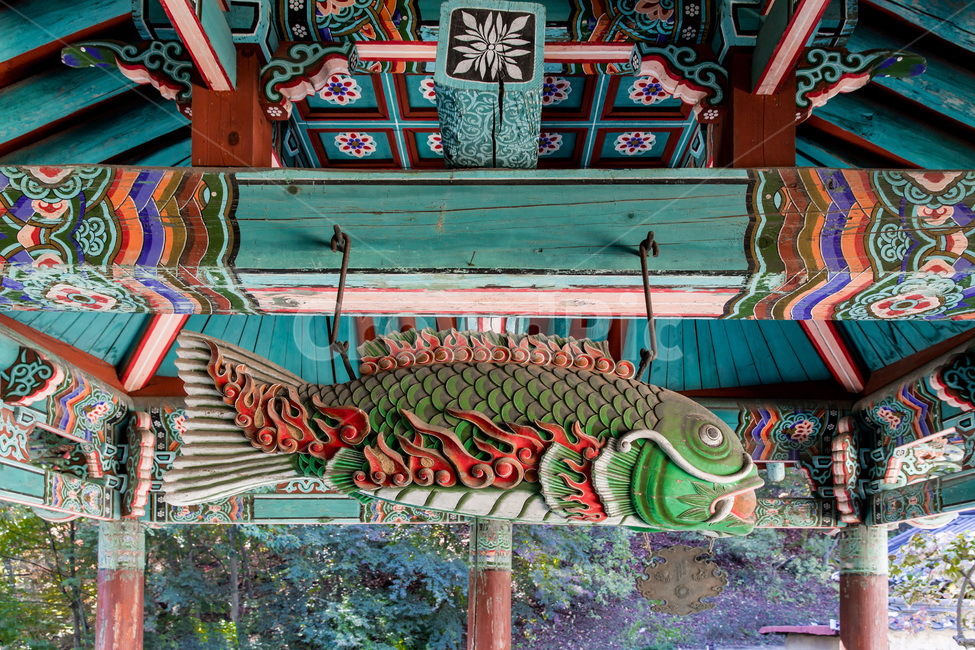 목어,문양,무늬,단청,전통,한국전통,한국문화,korean traditional,korean culture,조각상,동상,석상,조형물,statue,bronze statue,stone statue,종교,신앙,religion,belief,faith